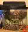 0159058 17778 Aqueon Fish Tank Betta 2.5 Gallon Acrylic Aquarium With Filter And Hood 015905177788
