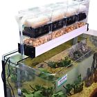 711081155687 Ae-shop Ae Shop Aquarium