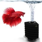 791043305787 Sungrow Betta Corner Filter Provides Biological And Chemical