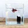 829694018876 Unbranded Aquarium Fish Tank Super Mute Small Pneumatic