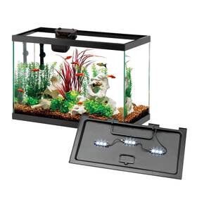 100552047 Aqueon 10 Gallon Aquarium Starter Kit With Smartclean Filtration And Led Lighting Fo