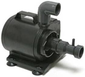 Asm Protein Skimmers 445043090039 Skimmer Sedra 5000 Replacement Pump