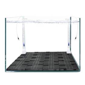 Baozqua 762949427798 Undergravel Filter System For 20 Gallon Fish Tank Airdriven Biofiltration Aq