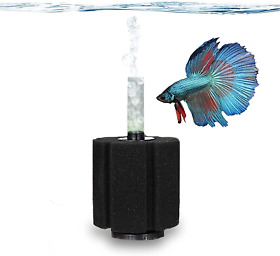 Betta Sponge Filter Works For Tropical Fish And Breeder Aquarium Perfect F