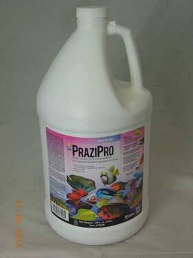 Hk73258 Hikari Aquarium Solutions 1 Gallon