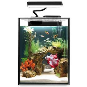 Ipriro 974426660664 Glass Betta Aquarium Starter Kits 1.5 Gallon Small Fish Tank
