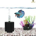 Not Sungrow Biochemical Sponge Betta 791043305428