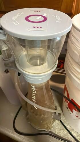 Ny01111 Nyos Quantum 120 Protein Skimmer