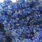 Pa-mbd400 Premium Aquatics Color-indicating Mixed