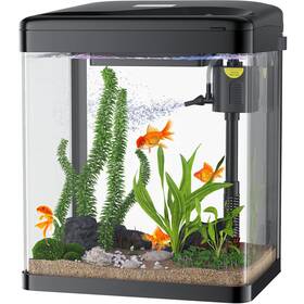 Pondon 752870681123 Betta Fish Tank 2 Gallon Glass Aquarium 3 In 1 With Filter And Li