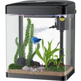 Pondon 764844046371 2 Gallon Fish Tank Glass Aquarium With Filter Light Small Sta