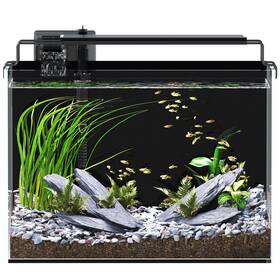 B32611 Red Tail Fish 5 Gallon Tank Aquarium Kit With Filter Led Light Timer Siphon Vac