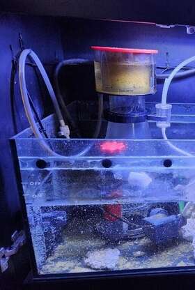 Clsc-200int Reef Octopus Classic 200 Int Protein Skimmer -