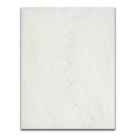 Rs020 Savio 735343685934 Filter Mat For Standard Skimmerfilter -