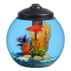 Sw Products 810126920751 3-gallon Fish Tank Aquarium Starter Kit Includes Power Filter L
