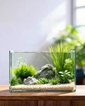 5 Gallon Ultra Clear Glass Fish Tank, Easy To Maintain Small Aquarium For Betta,. Fixed Price $108.99.
