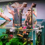 Negative Pressure Aquarium Fish Tank Cool Water Replenishers. Fixed Price $32.12.