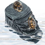 Turtle Tank Filter 20 Gallon, Basking Platform With 3-STAGE Filtration, D. Fixed Price $58.32.