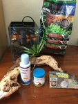 1.2 Gallon Betta Shrimp Aquarium Kit With Light, Filter/pump Lifeguard Aquatics. Fixed Price $87.99.