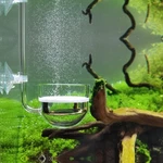 Jardli Music Glass CO2 Diffuser For Aquarium Planted Tank 1.6" 50-70 Gal. Fixed Price $57.22.