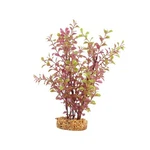 Fluval (108606) Red Ludwigia 10". Fixed Price $19.38.