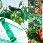 Usa 33FT Anti Bird Netting Pond Protection Tree Crops Plants Garden Mesh. Fixed Price $6.99.
