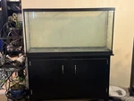 Rectangle Glass Fish 55GAL Tank Aquarium With Black Stand For All Water Types. Fixed Price $125.00.