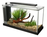 Fluval Spec Aquarium Kit, With Led Lighting And 3-STAGE Filtration. Fixed Price $157.79.
