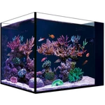 23.8 Gallon Desktop Peninsula Aquarium - Tank Only (17.7 X 16.5) Red Sea. Fixed Price $383.90.