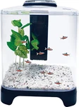 Fish Tank Kit With Led Light And Internal Filter Black 1.5 Gallon. Fixed Price $45.10.