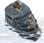 Turtle Tank Filter 20 Gallon, Basking Platform With 3-STAGE Filtration, D. Fixed Price $56.99.