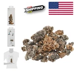 Biorb Ceramic Media For Aquarium Filtration Beneficial Bacteria. Fixed Price $36.99.