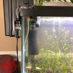 Qzbhct 5.9" Pond Aquarium Pre-filter Foam Sponge 4 Pack. Fixed Price $27.99.