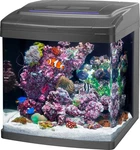 Coralife Biocube, Aquarium Kit,tank, Customizable Led Lighting, For Sal.... Fixed Price $414.88.