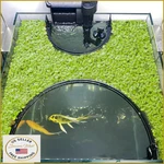 Floating Plant Corral For Aquarium, Fish Tank, Duckweed Protector, Auto Adjust. Fixed Price $18.13.