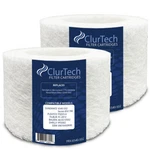 Clurtech Disposable Filter Element Pk For Sundance Replaces 6540-502. Fixed Price $38.05.