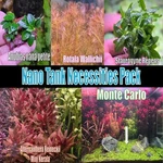 Nano Tank Necessities Pack Live Aquatic Plants Freshwater Fish Aquarium. Fixed Price $88.00.