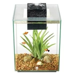 Fluval Chi Aquarium - 5 Gallon. Fixed Price $98.00.